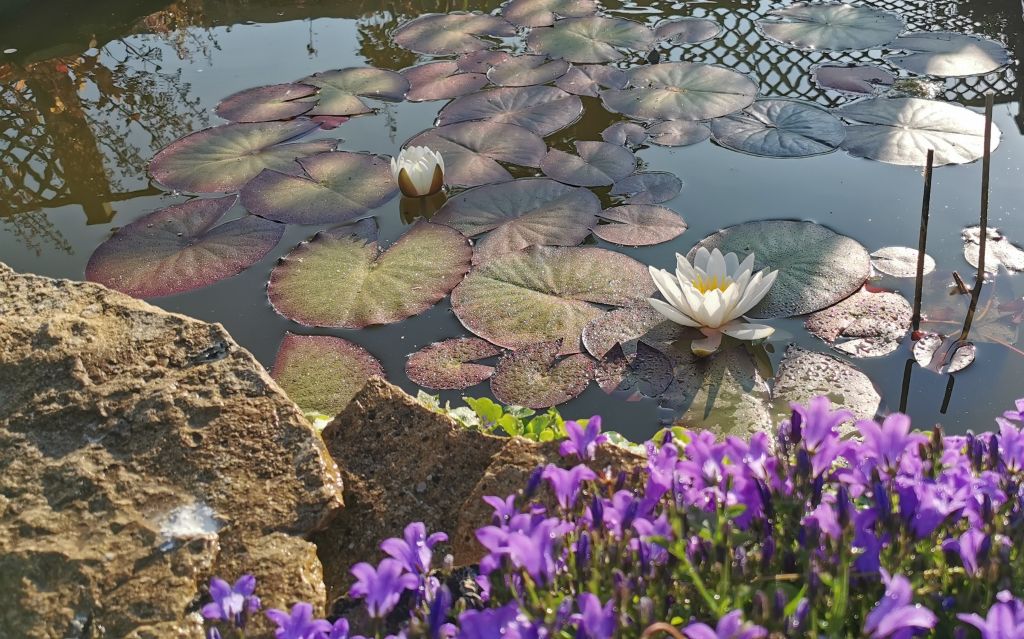 Open Gardens